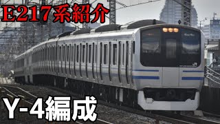 【E217系全編成紹介】第4回　Y-4編成