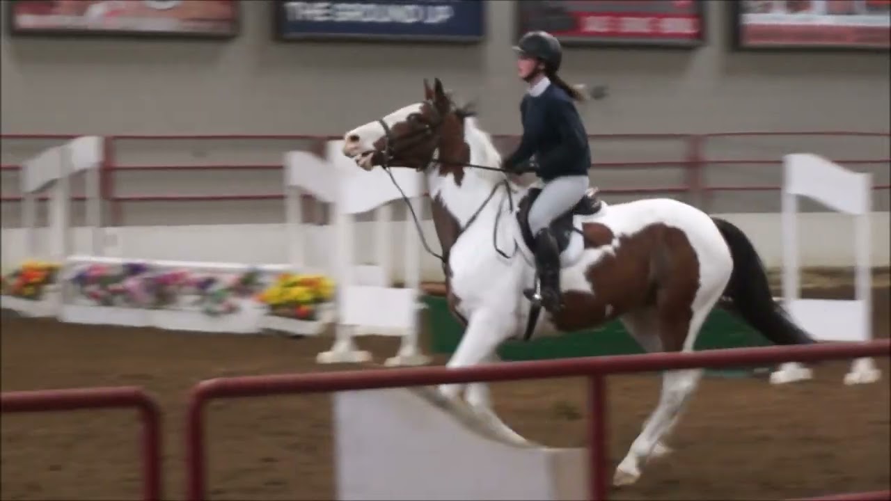 Spotified- BLHPSI 1st show