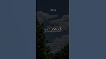 يوم لا ينفع مال ولا بنون/سورة الشعراء/ياسر الدوسري #قرآن #ياسرالدوسري #ارح_قلبك #قران