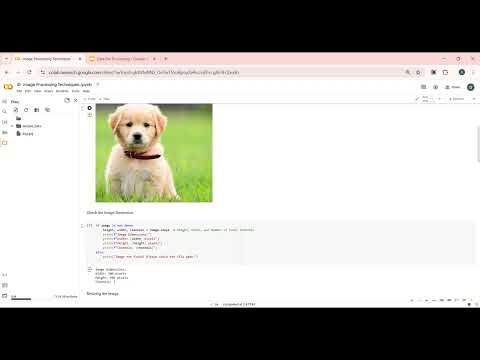 Image processing Techniques