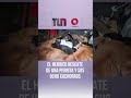 El heroico rescate de una perrita y sus ocho cachorros