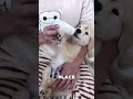 This Puppy Was Born With a Unicorn Horn 🤯❤️