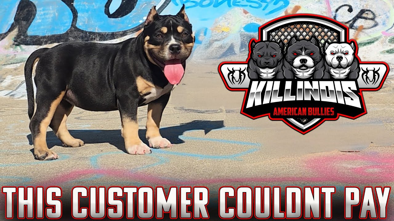 Я НЕ МОГУ В ЭТО ПОВЕРИТЬ!!!!!