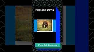 Kristalin Davis #artwork, #artist, #kristalin, #fine art america