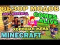 Хорошая жена и разумные жители (Comes Alive на русском) - Обзор мода для Minecraft