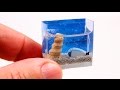 DIY Miniature Aquarium