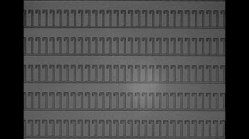 [Berkeley Lights] Culture