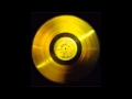 Voyager Golden Record Greetings In 55 Languages Voyager Golden Record Greetings In 55 Languages