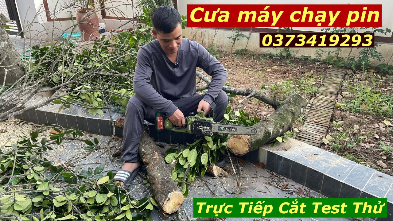 Cưa Máy Chạy Pin Cưa Cắt Cành Cây Tiện Lợi Cưa Nhanh Và Khỏe