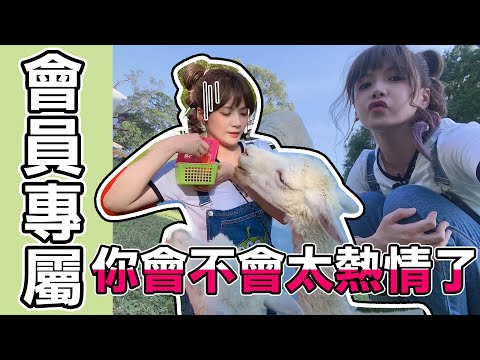 【未曝光片段】差點就跟羊駝親嘴了/婕翎