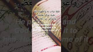 the only channel on YouTube which help u to learn more about islam and sureh