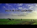 Wild in the country  elvis presley  oneman cover by peter vogelaar