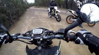 Motorcycle Nearly Runs over a Tortoise @Melbournerider