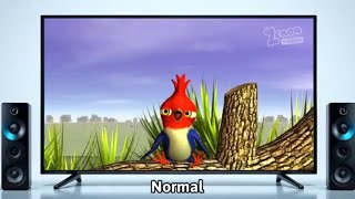 Miss birdie Gaita ZENON the Farmer effects sponcered by preview 