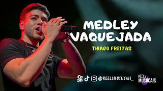 Thiago Freitas - MEDLEY VAQUEJADA 2.0