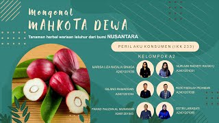 409 Manfaat Tanaman Herbal-Mahkota Dewa SDG 3 Good Health and Well-being SDG 12 Responsible Consump