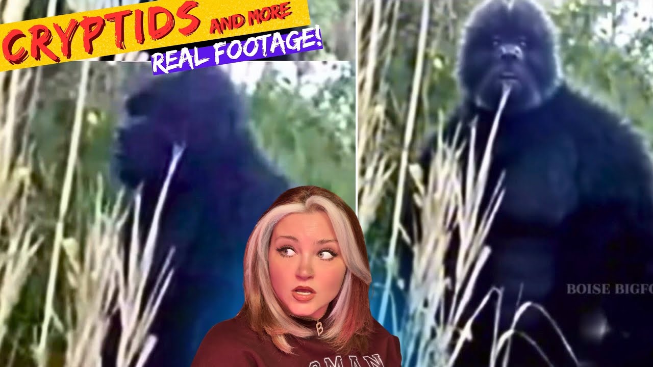 Terrifyingly Ominous & Scary CRYPTIDS Caught on Camera *CREEPY Footage ...