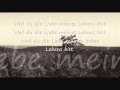 Philipp Poisel - Liebe meines Lebens (+Text)