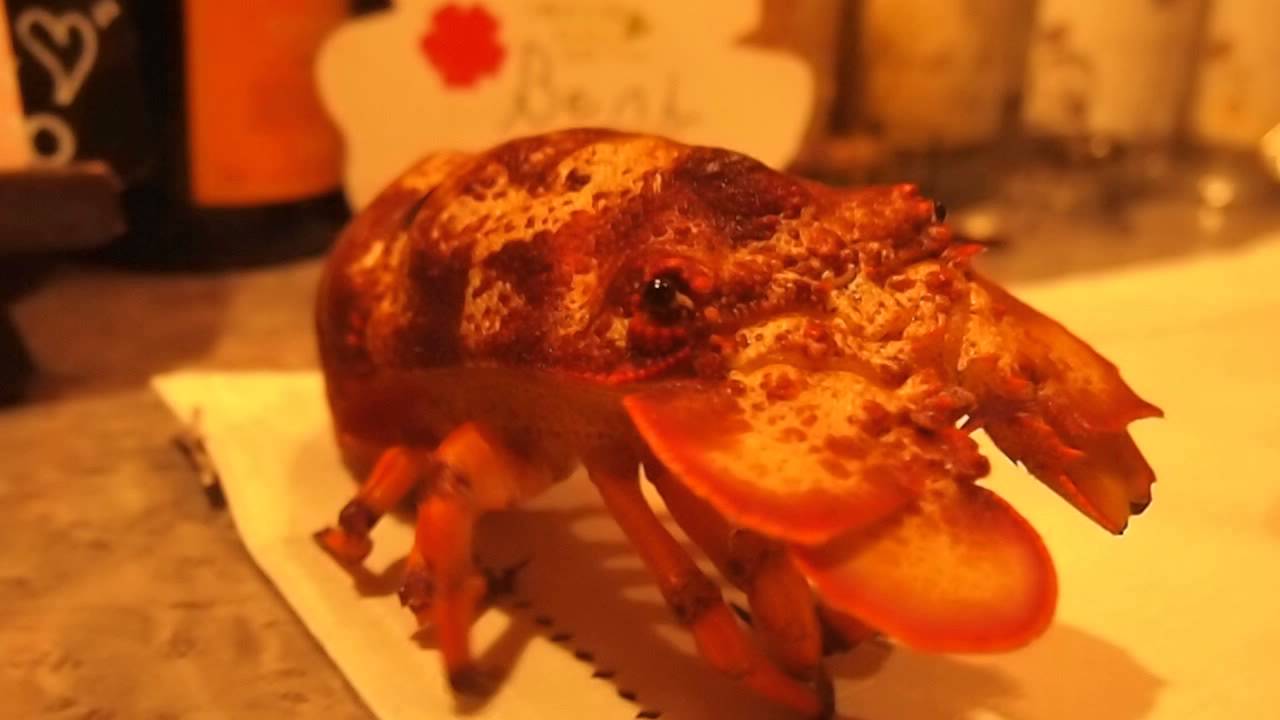 イオンモール沖縄ライカムに 伝説のエビ セミエビ ウチワエビ が食べられるお店 Youtube