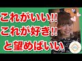 《超神回》【HTL第3期】あなたが戦いのフィールドにいる限りいいことなんて何もない！【ハッピーちゃん】【HAPPYちゃん】