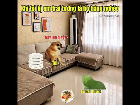 Khi em trai tưởng tôi là họ hàng nghèo #meme #catmeme
