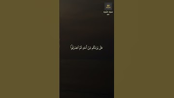 سورة التوبه   127   محمد صديق المنشاوى