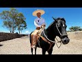 Parte 1 En el Rancho Con Don Lidio Pinedo, consejos de arrendar Caballos 🐴 🇲🇽👌🏻 #zacatecas