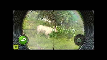 Mastering the Wild: Hunting Clash Gameplay Guide and Tips