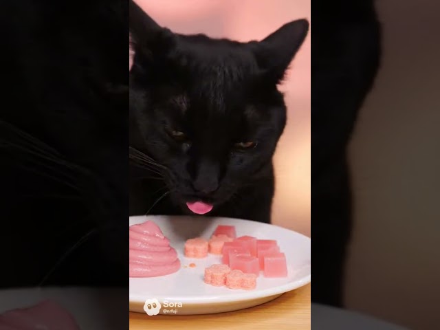 【#ASMR】ピンク色おやつをポリポリ食べる黒猫🐾 | Black Cat Eating Pink Treats #shorts #asmr #AiSMR