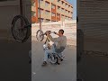  استعراض رفع مكن صيني بطوط مصر اشتركوا في قناتي