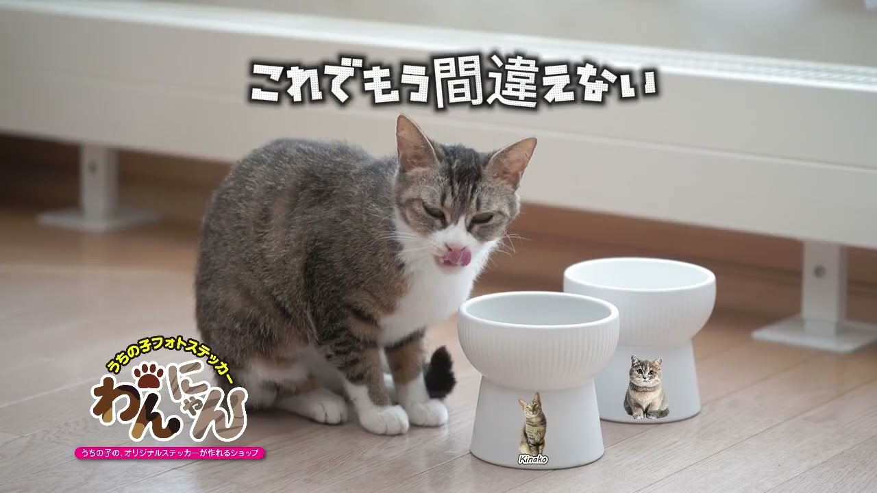 うちの子フォトステッカー