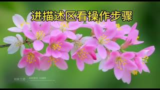 qq相册密码可以破解吗手机(怎么破解别人qq空间加密相册)