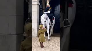 🌌🐴 A Guard Horse That Made the World Feel Softer #shorts #horse #love