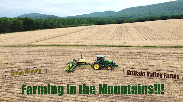 Planting Corn Buffalo Valley Farms 2021 (Drone)