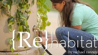 How to Make Your Own Rain Barrel -- Buildipedia DIY