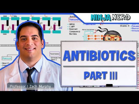 ვიდეო: რომელი ანტიბიოტიკები ბლოკავს ბაქტერიული ცილის გამომუშავებას?