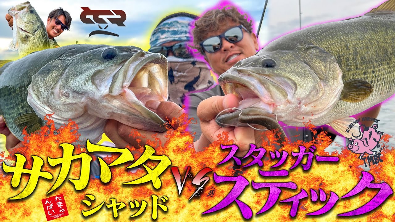GGR Vol.9  サカマタシャッドVSスタッガースティック！　#バス釣り 　#bassfishing 　#deps