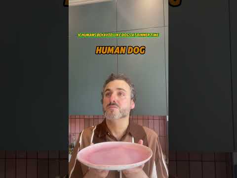 IF HUMAN’s BEHAVED LIKE DOG’s AT DINNER TIME