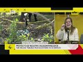 Protocolo de búsqueda de desaparecidos: ¿hay avances luego de los últimos casos?