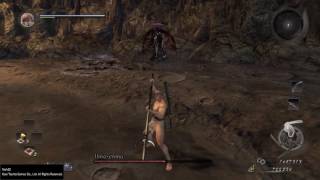 NG+ Hino-enma at Level 1 No Rolling/Dodging/Blocking Flawless Kill