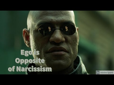 Ego is Opposite of Narcissism: Ego Functions