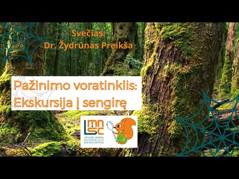 Video: Kur yra borealinio miško biomas?