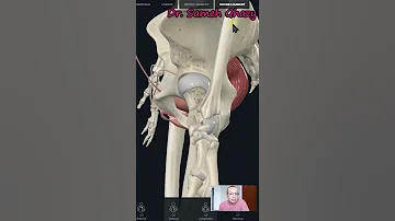 الرحم المقلوب 
