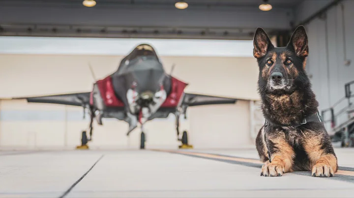 Vermont WDEV Radio: Well speak with 158thFW Comdr ...