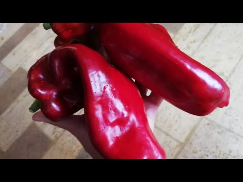 Видео: Краснеет ли перец маркони?