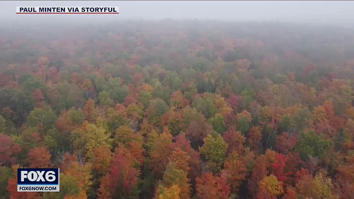 Fall colors in Northern Wisconsin caught on drone cam | FOX6 News Milwaukee