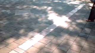 台灣的瑞士策略Taiwan strategy after ECFA.wmv
