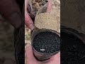 DIY charcoal water filter for survival hydration #survival #survivalhack #science
