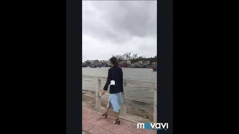 Ngày mưa tại Cảng Sa Kỳ