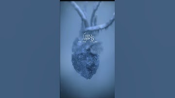 قران كريم اجر لي ولكم شارك الاجر #اكسبلور #قران_كريم